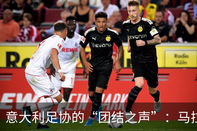 意大利足协的“团结之声”：马拉戈挺住，别让外人插手！