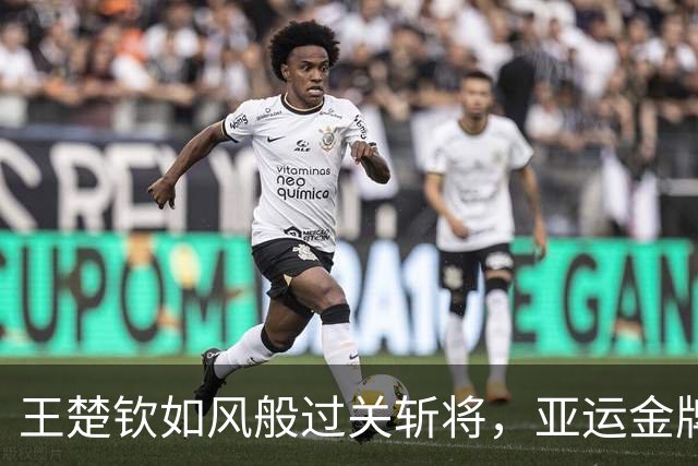 王楚钦如风般过关斩将，亚运金牌咫尺可及！